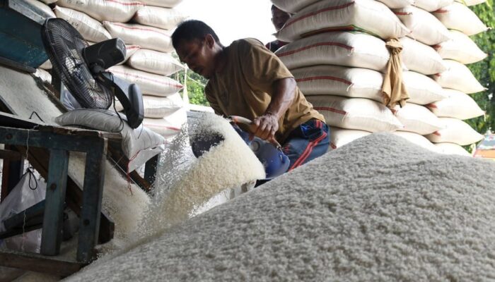 Harga Beras Disejumlah Pasar Tradisional Di Kota Makassar, Perlahan Terkendali dan Diprediksi Turun