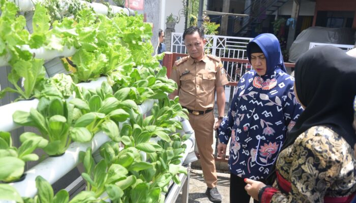 Ketua TP PKK Kota Makassar dan Kadis Ketapang Tinjau Lorong Wisata di Dua Kecamatan