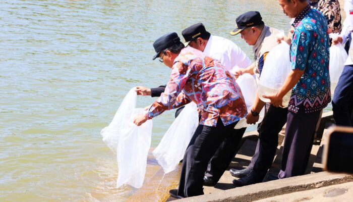 Danny Pomanto Lepas Puluhan Ribu Benih Ikan Air Tawar di Waduk Nipa-Nipa