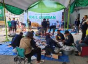 Idul Adha 1445 H, Pegadaian Kanwil Makassar Potong & Bagikan 107 Ekor Hewan Qurban