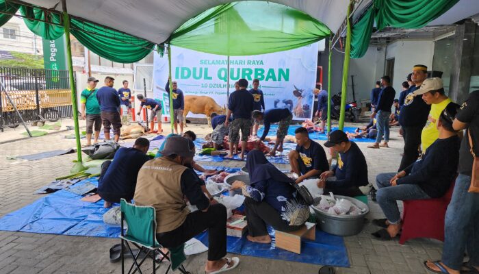 Idul Adha 1445 H, Pegadaian Kanwil Makassar Potong & Bagikan 107 Ekor Hewan Qurban