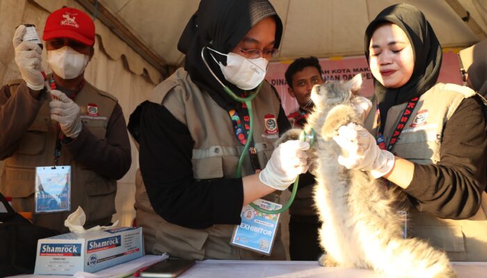 Zona 5 F8, Sediakan Free Vaksinasi Rabies Untuk Hewan Kesayangan