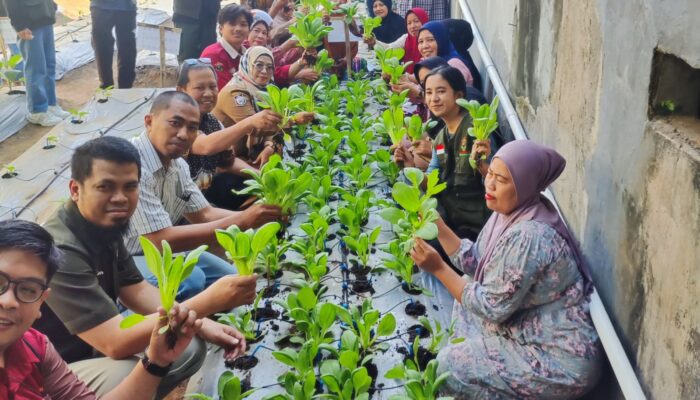 Terapkan Pertanian Modern di Perkotaan, “Mahatani” Unhas Panen Sayur Bersama Masyarakat