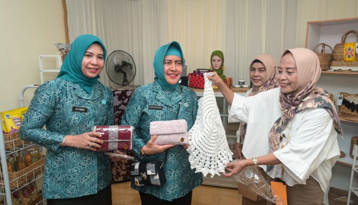 Indira Yusuf Ismail Pantau Langsung Pelaksanaan Pilot Project Pokja II di Kecamatan Mamajang