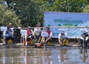 Lestarikan Ekosistem Pesisir, Pertamina Patra Niaga Sulawesi Melalui Integrated Terminal Makassar Melakukan Penanaman Mangrove di Parangloe Makassar