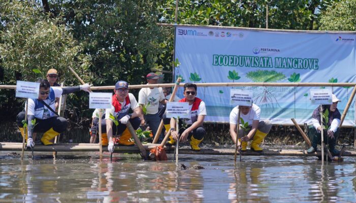 Lestarikan Ekosistem Pesisir, Pertamina Patra Niaga Sulawesi Melalui Integrated Terminal Makassar Melakukan Penanaman Mangrove di Parangloe Makassar