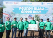 Semarakkan Kemerdekaan, Pelindo Jasa Maritim Tanam 790 Pohon Buah Melalui Program Pelindo Hijau Green Belt 2024
