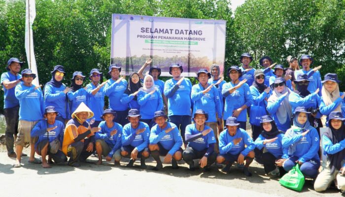 Lestarikan Ekosistem Laut, SPJM Realisasikan Penanaman 45.000 Pohon Mangrove 
