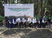 Langkah Nyata untuk Konservasi Lingkungan, Pelindo Regional 4 Tanam Mangrove di Lahan Seluas 12,5 Ha