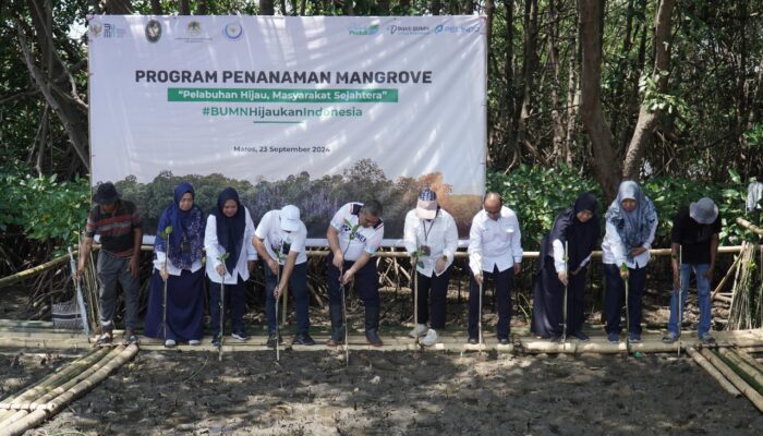 Langkah Nyata untuk Konservasi Lingkungan, Pelindo Regional 4 Tanam Mangrove di Lahan Seluas 12,5 Ha