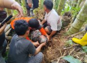 Dua Hari Pencarian, Tim SAR Gabungan Berhasil Temukan Lansia di Hutan Bambu Lembang Bori Toraja