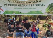PJI Sulsel Kembangkan Unit Usaha Agrobisnis