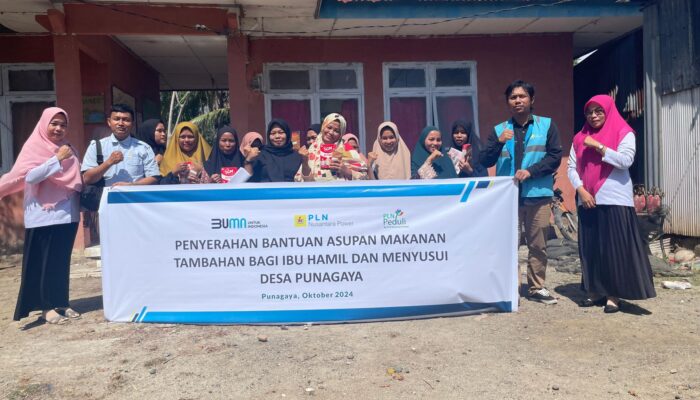 PLN Nusantara Power Berupaya dalam Penanganan Stunting di Desa Punagaya