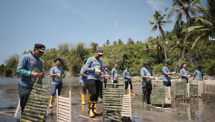 Peringati Hari Menanam Pohon Indonesia 2024, Pertamina Patra Niaga Sulawei Gelar Penanaman Mangrove dan Coastal Cleanup di Pantai Desa Tongo
