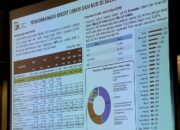 Pengembangan Kredit UMKM dan KUR di Sulawesi Selatan: Kinerja Perbankan Positif di 2024