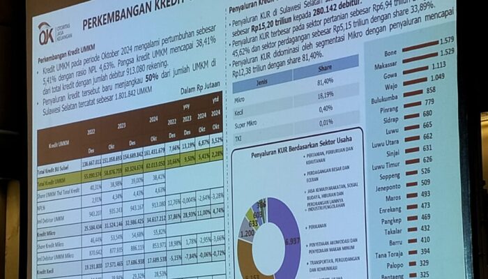 Pengembangan Kredit UMKM dan KUR di Sulawesi Selatan: Kinerja Perbankan Positif di 2024