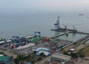 Pembangunan IKN Dorong Pertumbuhan Kinerja Pelindo Regional 4 Tarakan Sepanjang 2024