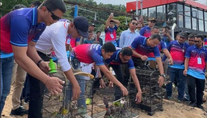 Pelepasliaran Penyu dan Burung Maleo di Tolitoli, Wujud Kepedulian Lingkungan Pertamina Patra Niaga Sulawesi