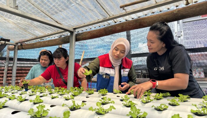 Pertamina Patra Niaga IT Bitung Dukung Pemberdayaan Ibu Rumah Tangga Melalui Hidroponik