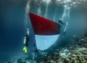 Pertamina Patra Niaga Sulawesi Rayakan HUT RI ke-80 dengan Pembentangan Bendera Merah Putih Terbesar di Bawah Laut Spot Ikonik Mata Uang Rp10.000 Wakatobi