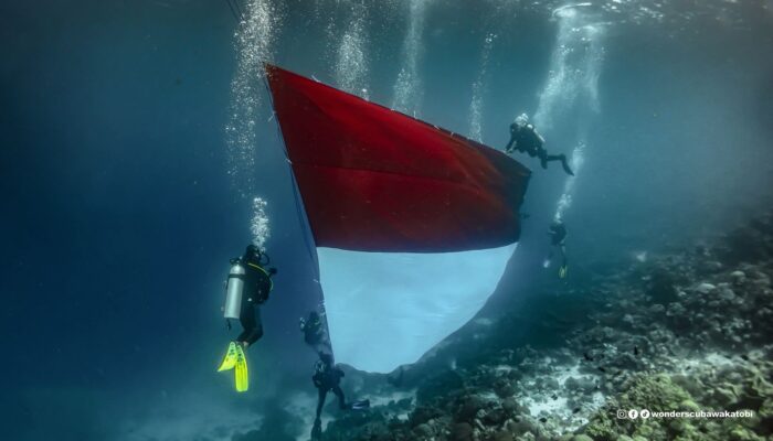 Pertamina Patra Niaga Sulawesi Rayakan HUT RI ke-80 dengan Pembentangan Bendera Merah Putih Terbesar di Bawah Laut Spot Ikonik Mata Uang Rp10.000 Wakatobi