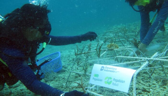 PT Pegadaian Kanwil VI Makassar Gelar Rehabilitasi dan Transplantasi Karang di Pulau Barrang Lompo