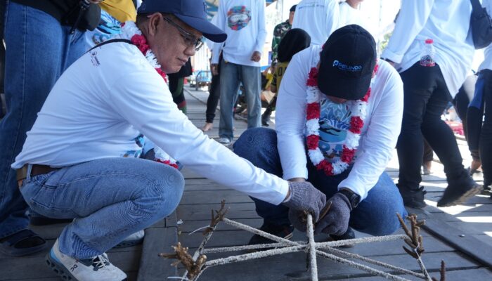 Pelindo Regional 4 Kolaborasi dengan 3 BUMN, Konservasi Terumbu Karang di Pulau Barrang Lompo