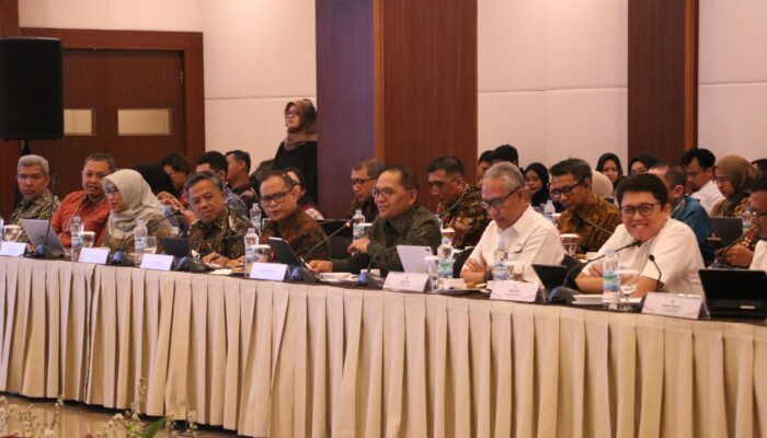 Sinergi OJK Komisi XI DPR RI Untuk Meningkatkan Literasi dan Inklusi Keuangan di Daerah