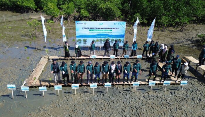 Peringati Hari Maritim Nasional 2025, Pelindo Regional 4 Kick Off Rehabilitasi Mangrove di Bone