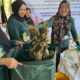 Dari Limbah Jadi Berkah: Pertamina Patra Niaga Sulawesi Wujudkan Kebun Raya Pucak Lebih Hijau dan Mandiri Lewat Program Eco-Cycle