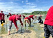Pertamina Patra Niaga Sulawesi Tanam 1.000 Mangrove di Kendari. Wujudkan Ekosistem Pesisir yang Lebih Tangguh