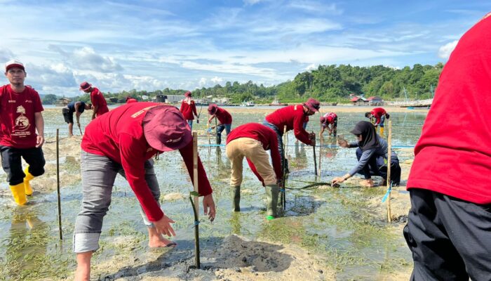 Pertamina Patra Niaga Sulawesi Tanam 1.000 Mangrove di Kendari. Wujudkan Ekosistem Pesisir yang Lebih Tangguh