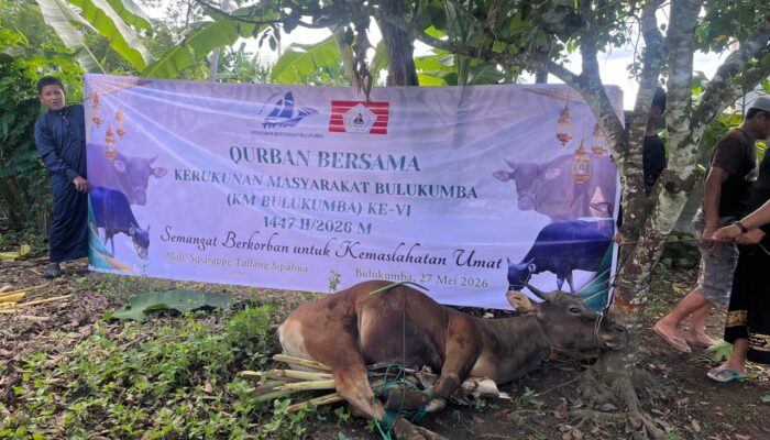 Dari Rantau untuk Kampung Halaman, KM Bulukumba Tebar Manfaat Iduladha
