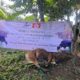 Dari Rantau untuk Kampung Halaman, KM Bulukumba Tebar Manfaat Iduladha